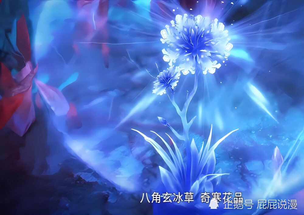 Ảnh Bát Giác Huyền Băng Thảo lung linh mê hoặc