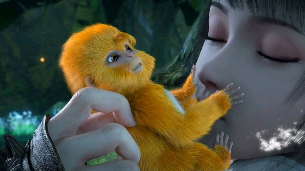 Hình nền Mao Cầu cho điện thoại chất lượng cao