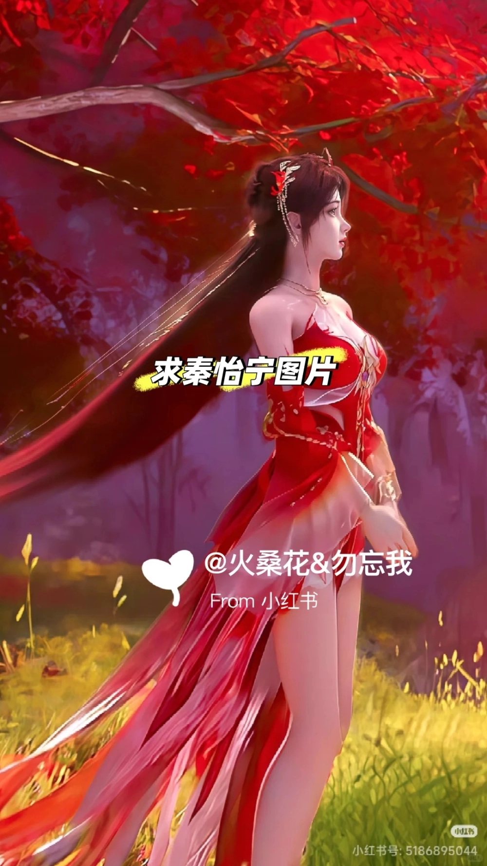 Xuất thân Tần Di Ninh từ thánh địa Bất Lão Sơn danh tiếng lẫy lừng