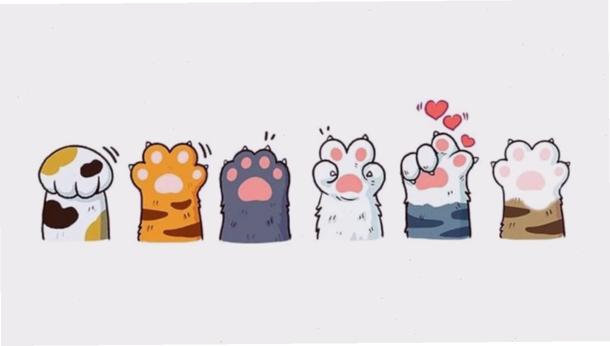 Ảnh mèo anime buồn