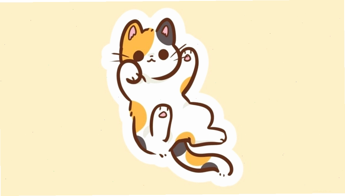 Ảnh mèo anime với biểu cảm hài hước