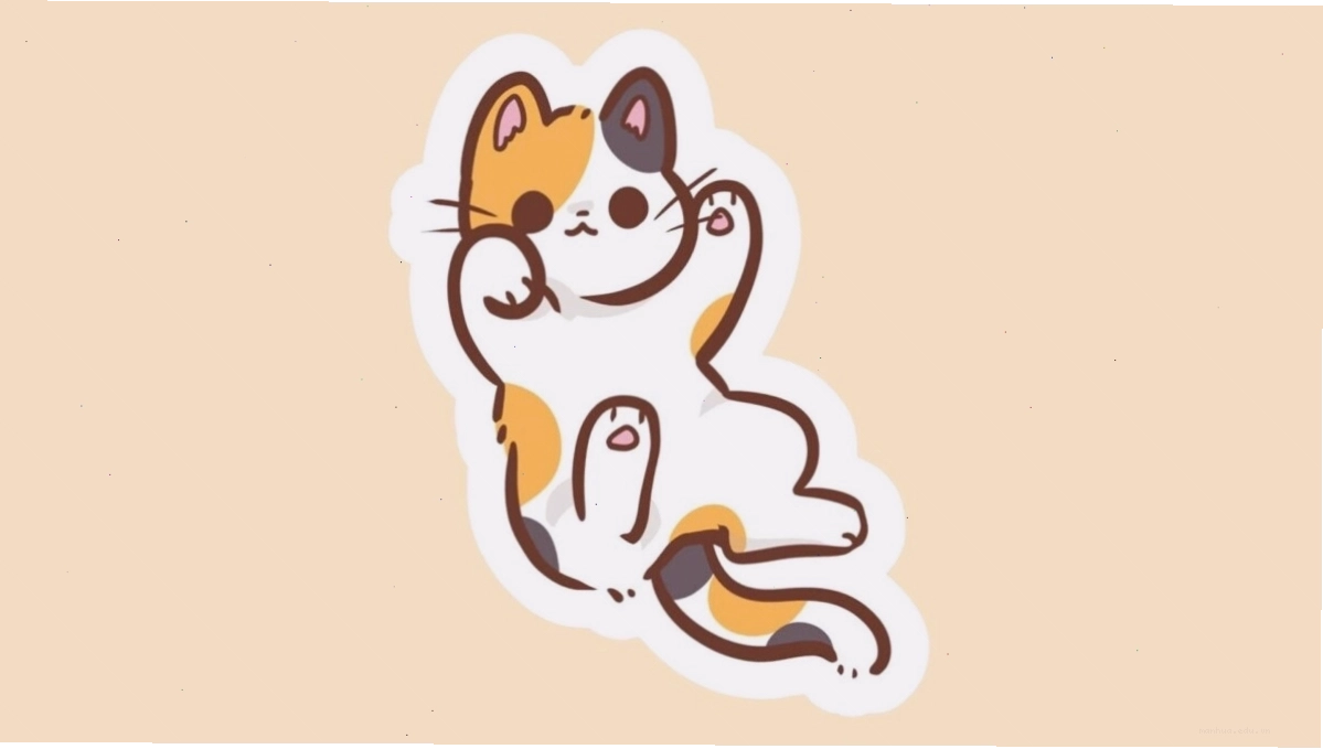 Avatar mèo cute anime với biểu cảm tinh nghịch