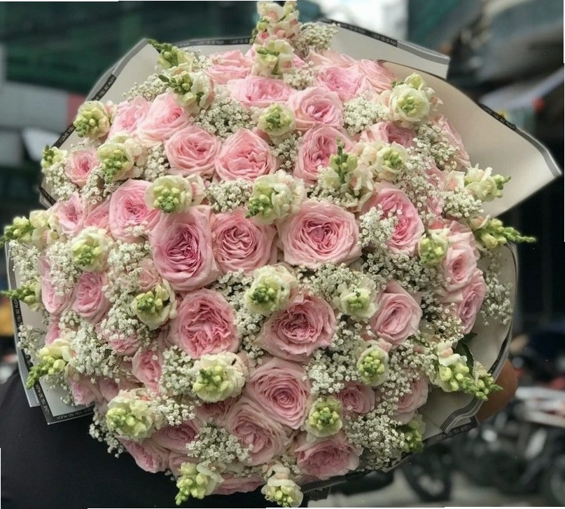 Bó hoa hồng Ohara nhập khẩu sang trọng