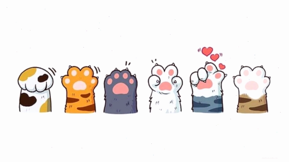 Bộ sưu tập ảnh mèo cute anime đa dạng