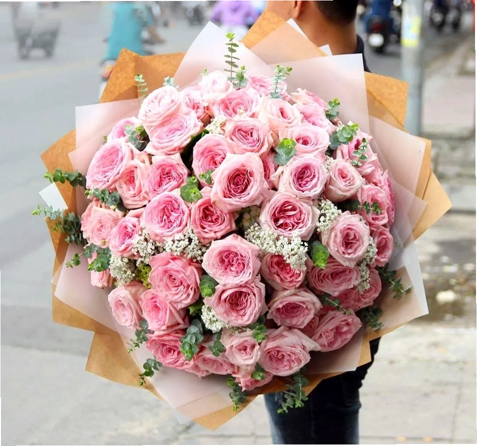 Đặc điểm bông hoa hồng Ohara với nhiều lớp cánh xếp dày