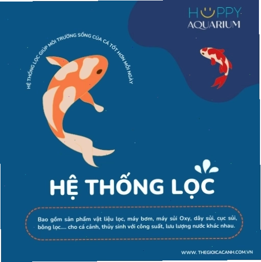 Hệ thống lọc hồ cá cảnh hiệu quả