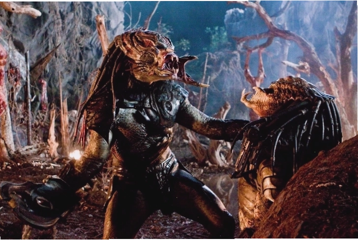 Hình ảnh một con Predator đang săn mồi