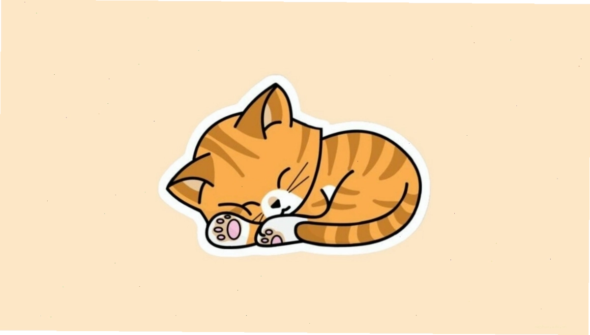 Hình nền laptop mèo anime
