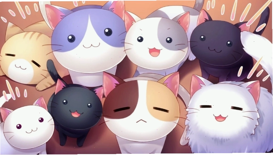Hình nền máy tính Anime với các nhân vật anime được yêu thích