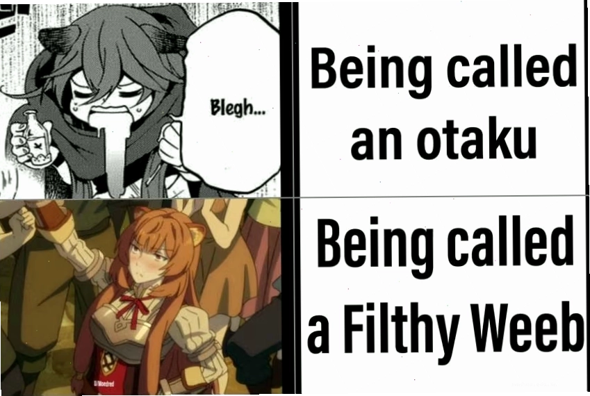 Meme về Otaku