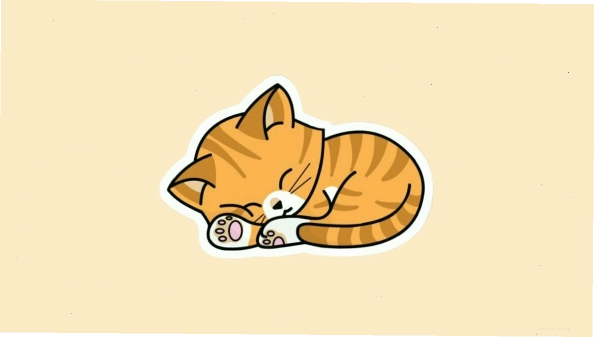 Mèo anime đội mũ và đeo kính ngộ nghĩnh