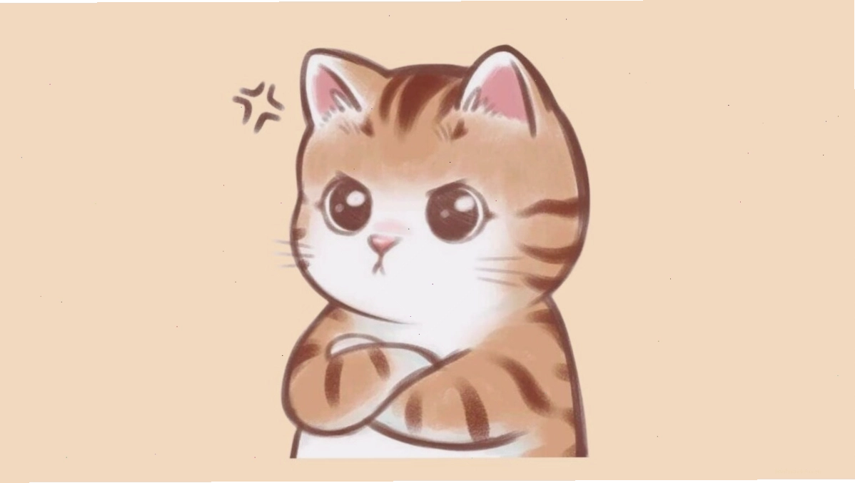 Mèo anime hoạt hình hài hước