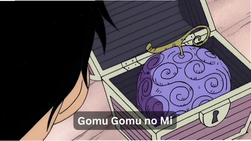Mô tả về khả năng của trái Hito Hito no Mi trong One Piece
