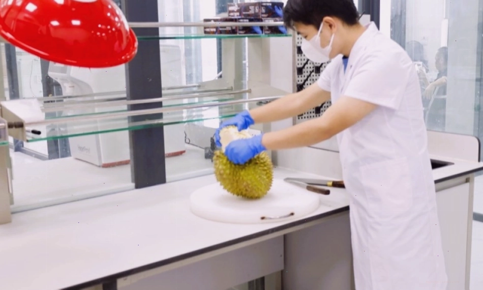 Phòng thí nghiệm phân tích mẫu