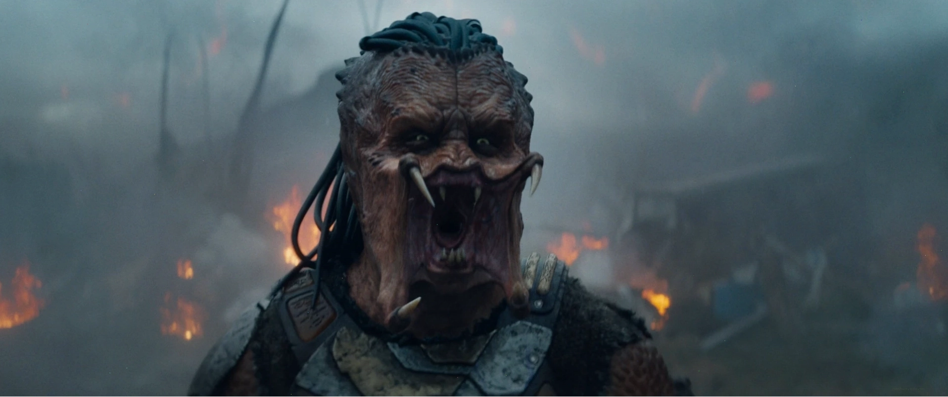 Predator với vũ khí công nghệ cao