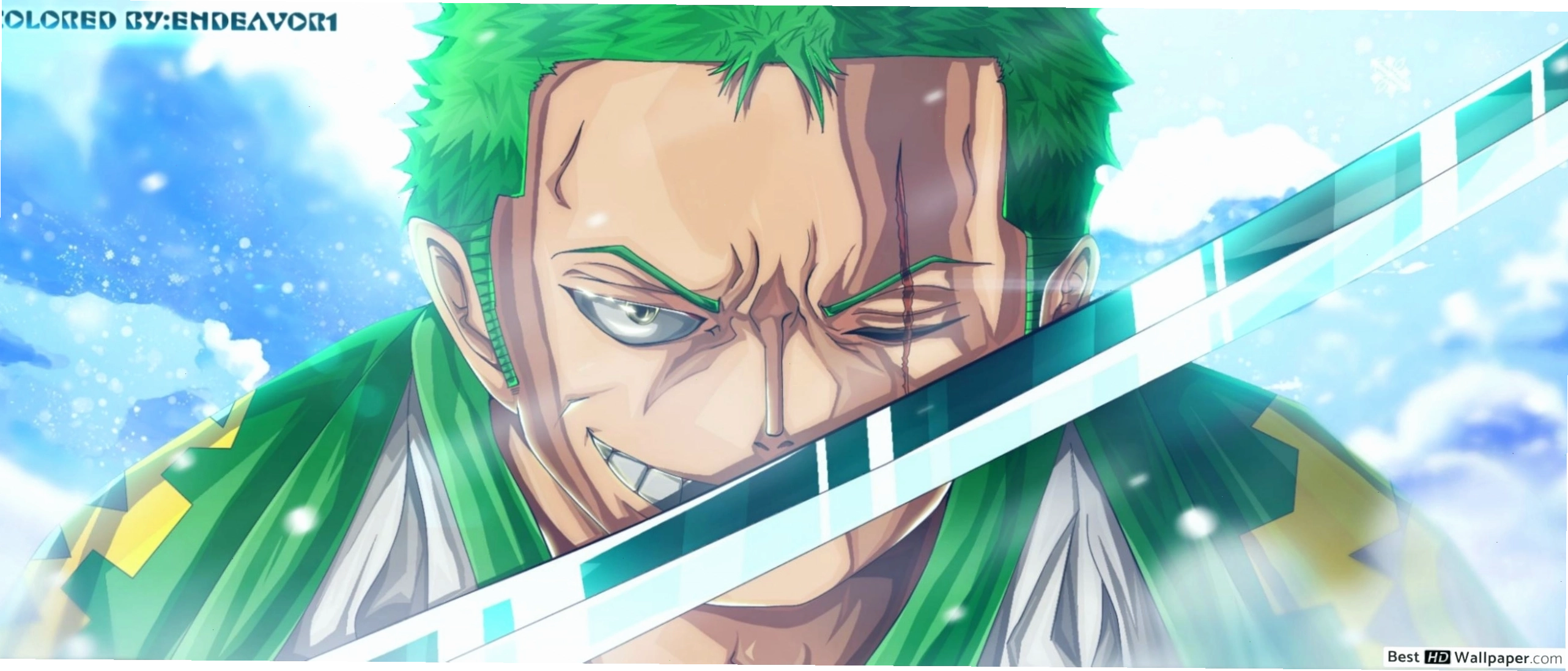 Roronoa Zoro Wano Kuni Arc HD wallpaper download