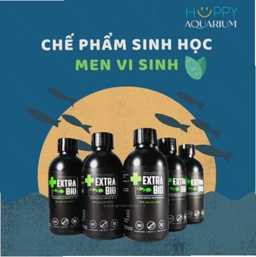 Sản phẩm hỗ trợ sức khỏe cho cá cảnh