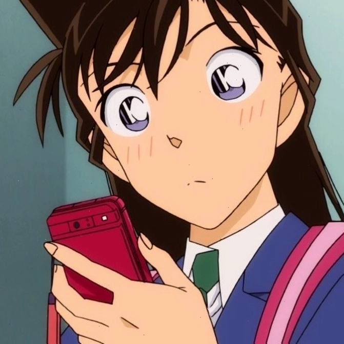 Thám tử Kogoro Mouri và Conan
