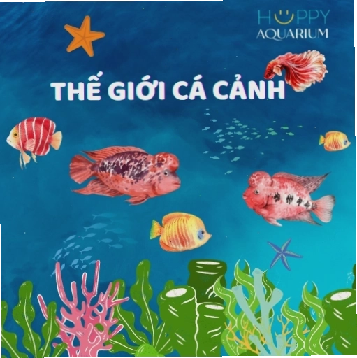 Thức ăn cho cá rồng