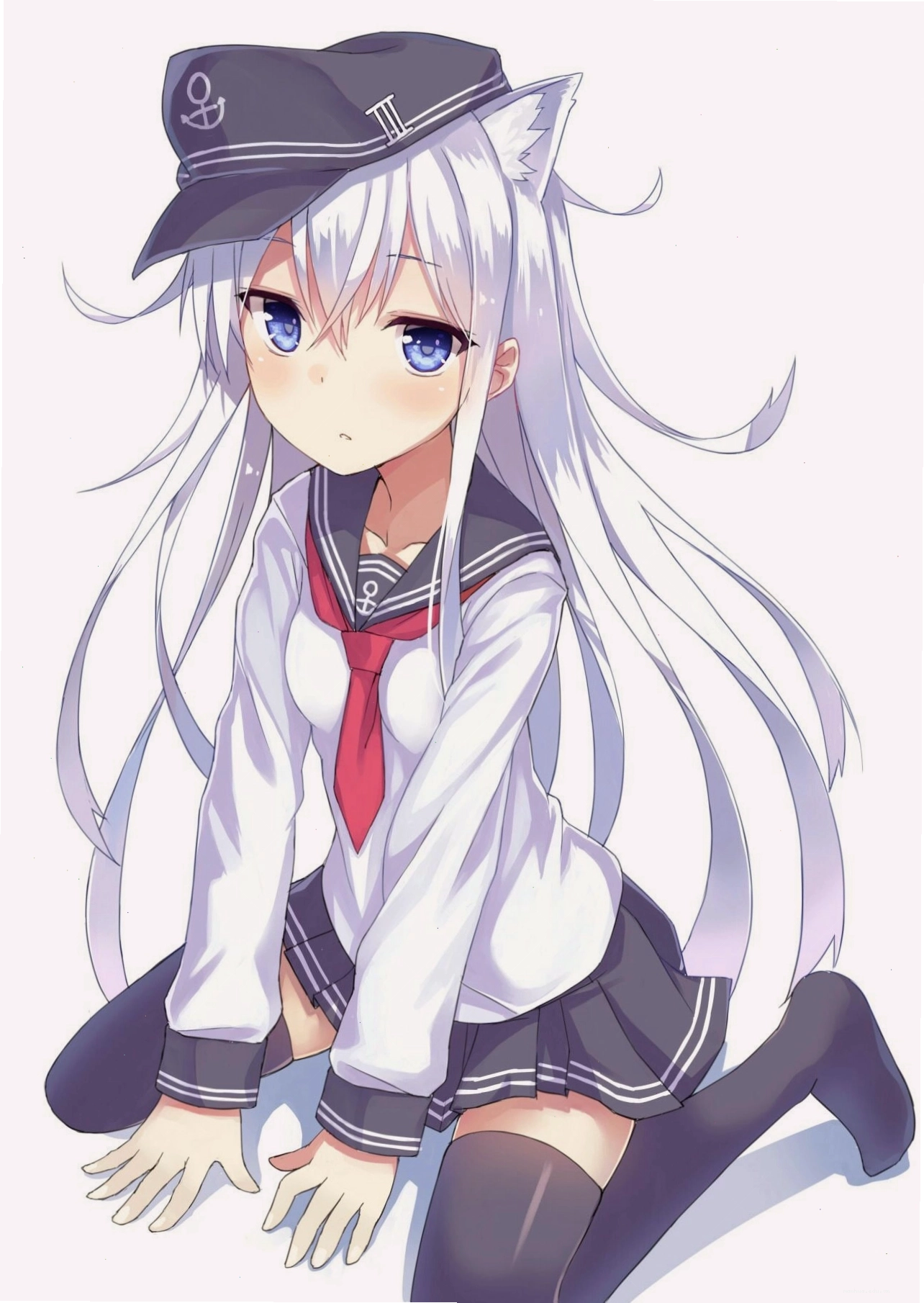 Tổng hợp hình anime mèo đẹp