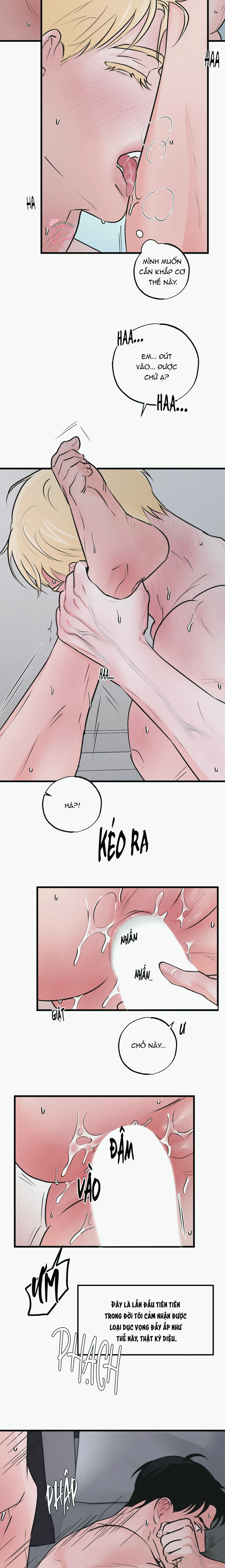 Xứng Đôi Vừa Lứa BL