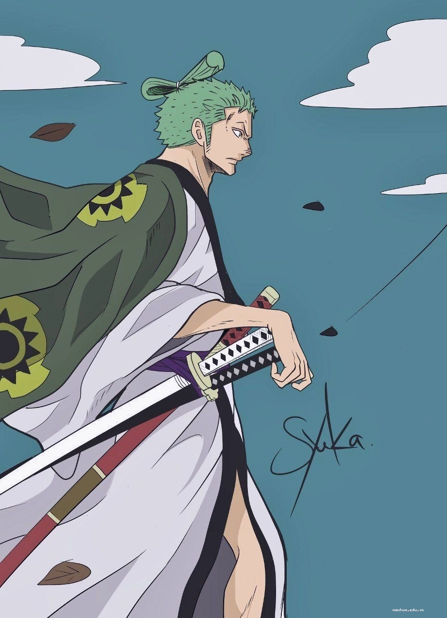 Zoro và các thành viên băng Mũ Rơm tại Wano