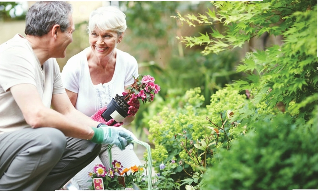 Chăm sóc sân vườn giúp bảo vệ sức khỏe và mang lại niềm vui mỗi ngày