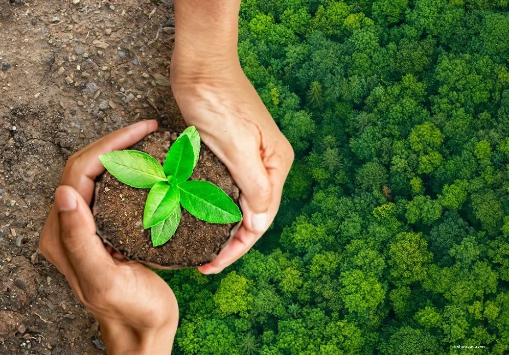 giáo dục trực tuyến và phương pháp đối diện với sự thay đổi và thích nghi