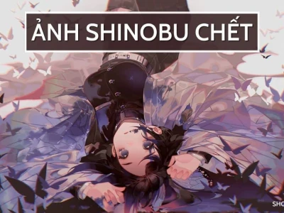 Shinobu Kocho: Khoảnh khắc đời người và những hình ảnh xúc động
