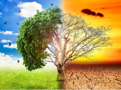 Cách phòng ngừa thời tiết thất thường ảnh hưởng sức khỏe năm 2026
