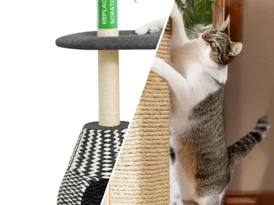 Sustainable cat scratching posts and luxury feline furniture in 2026